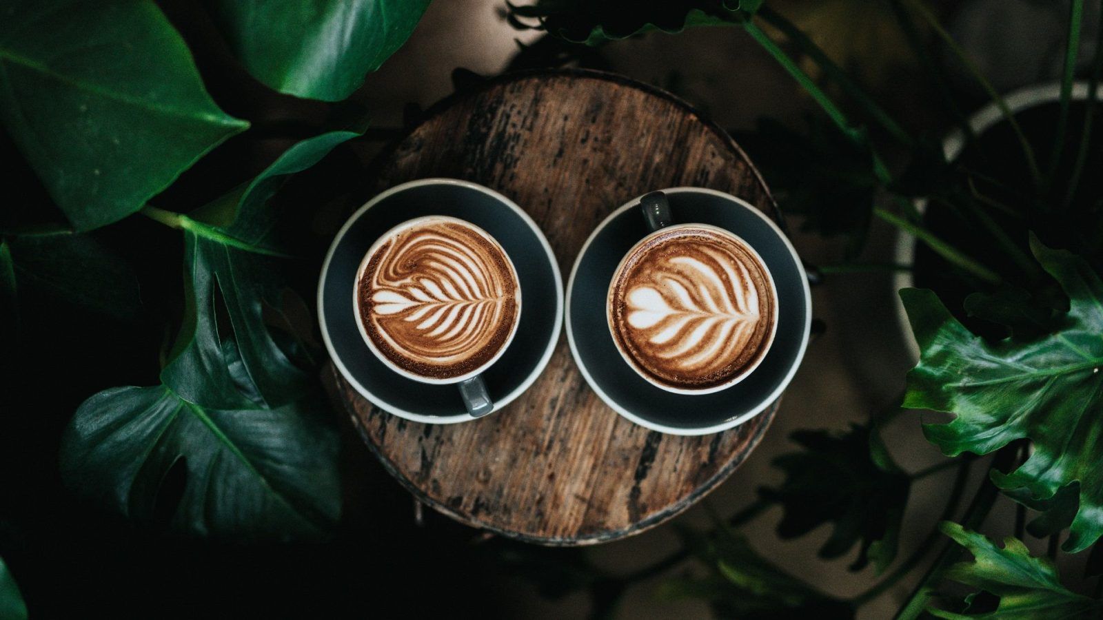 Instant coffee Origin, types and other things to know about