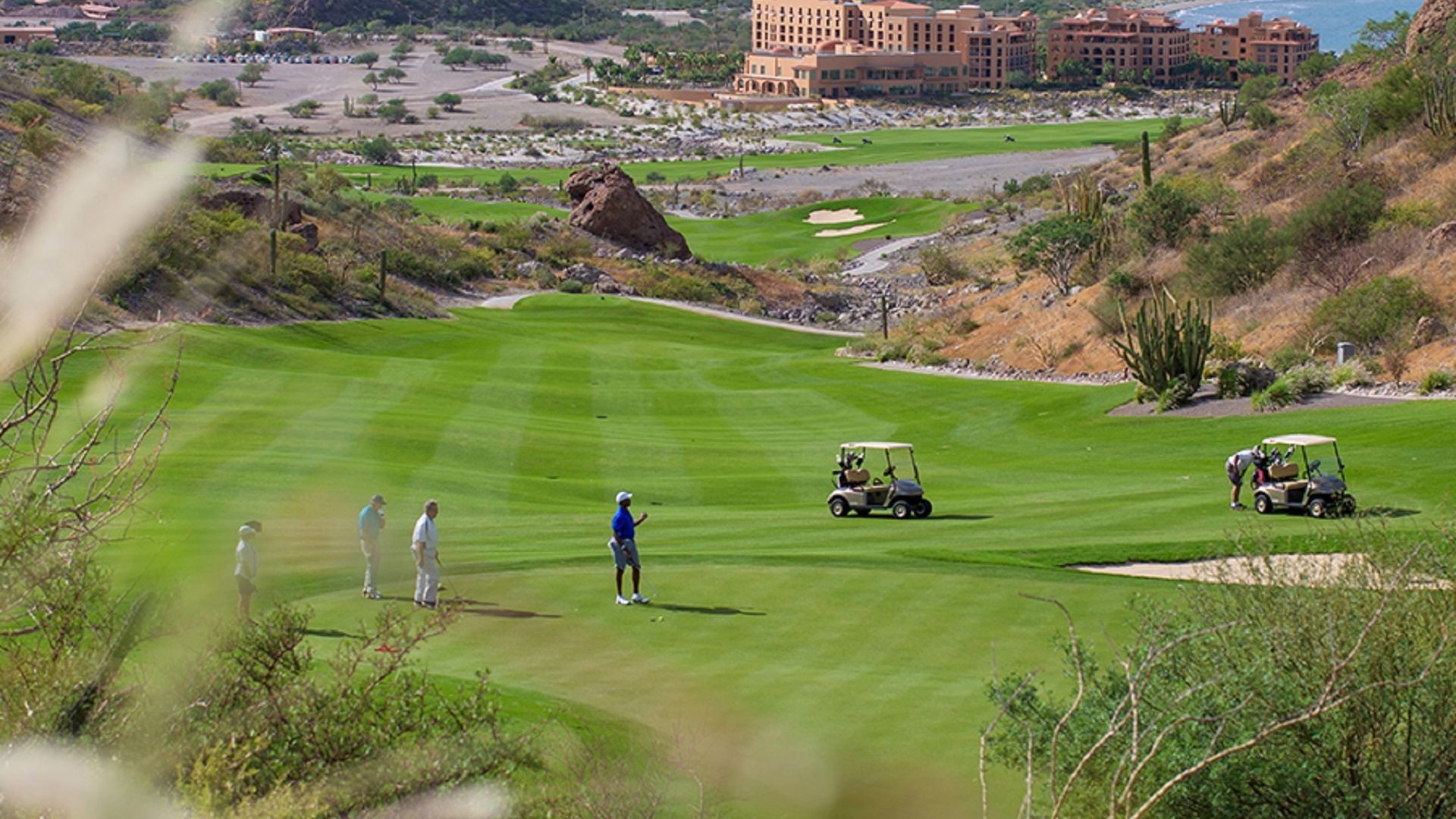 TPC Danzante Bay, Mexico