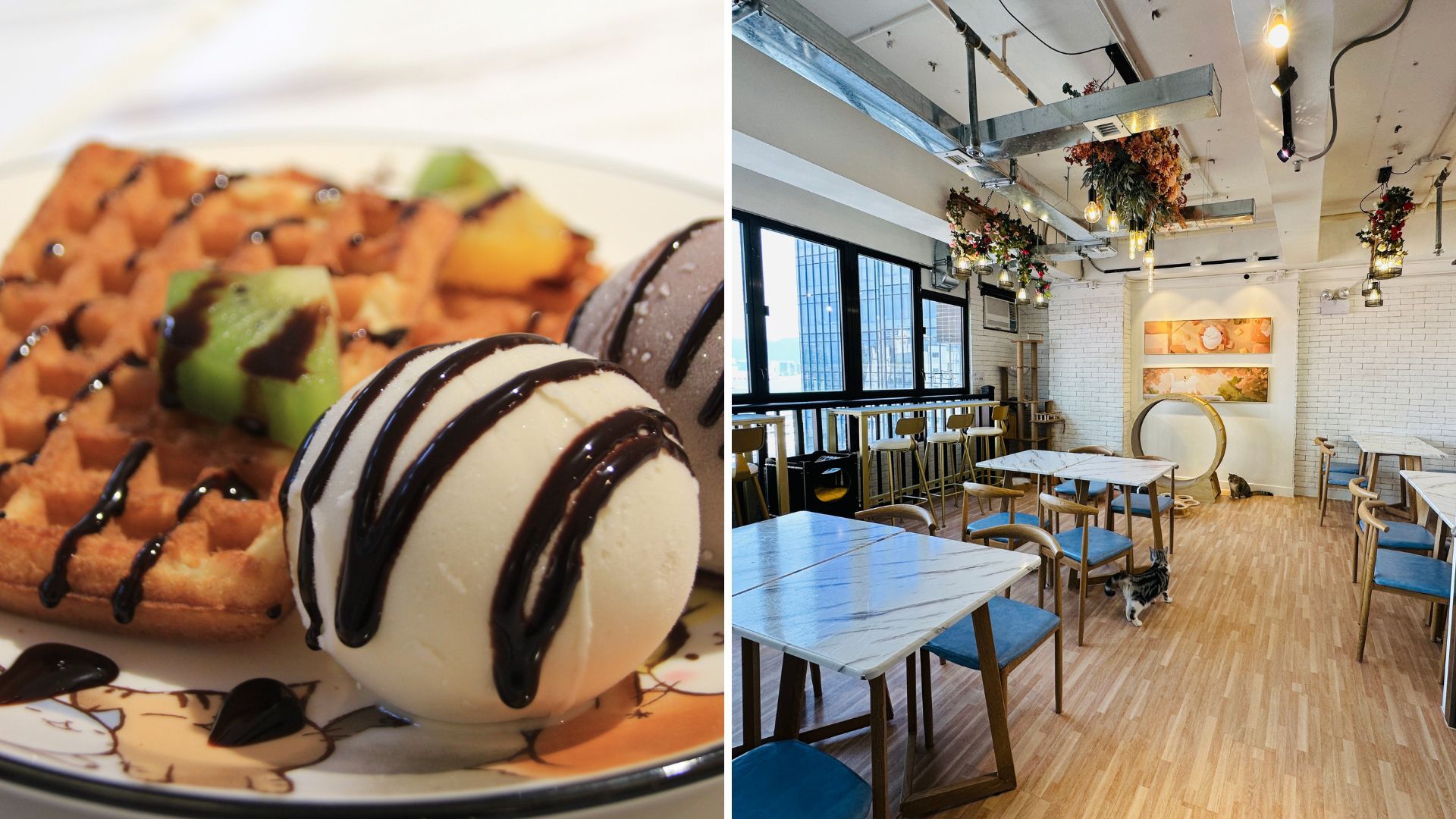 new cafes in hong kong