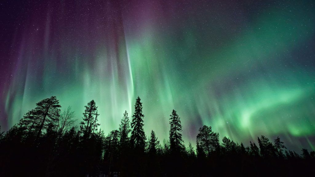 Why next 2-3 years is the best time to view the Northern Lights