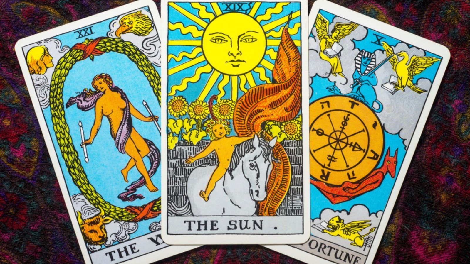 Forskelle underviser Hane Tarot card readings: What is it and how can you do it?