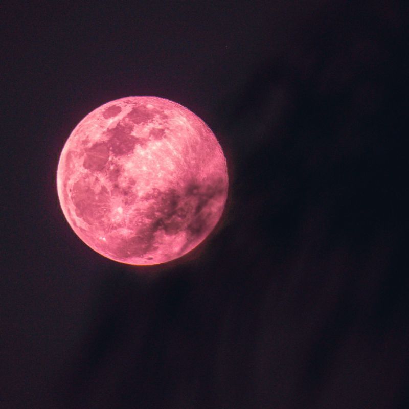 Know all about the full pink moon 2023 and how it impacts all zodiacs