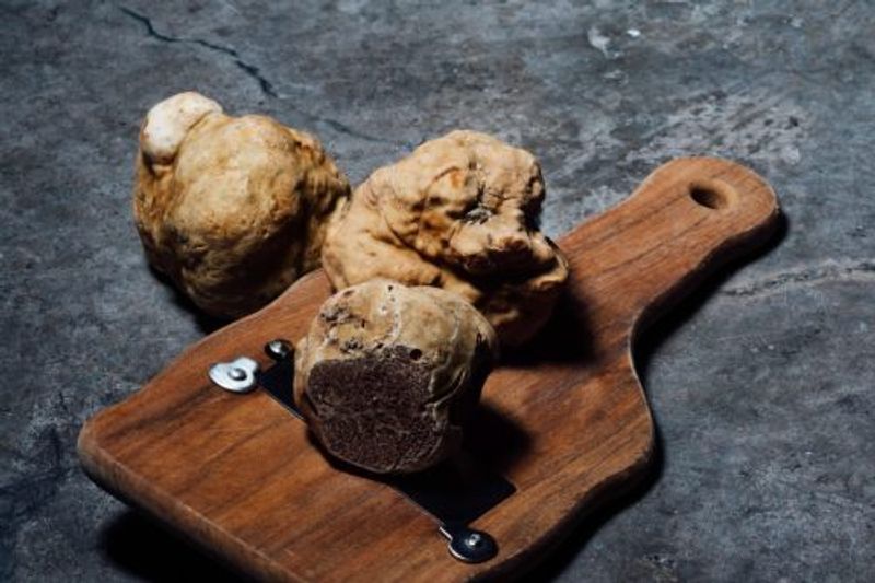 11 of the world’s most expensive truffles ever