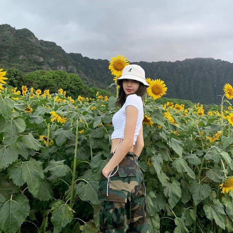 5 stunning islands to visit in Lalisa Manobal’s favourite vacation spot Hawaii