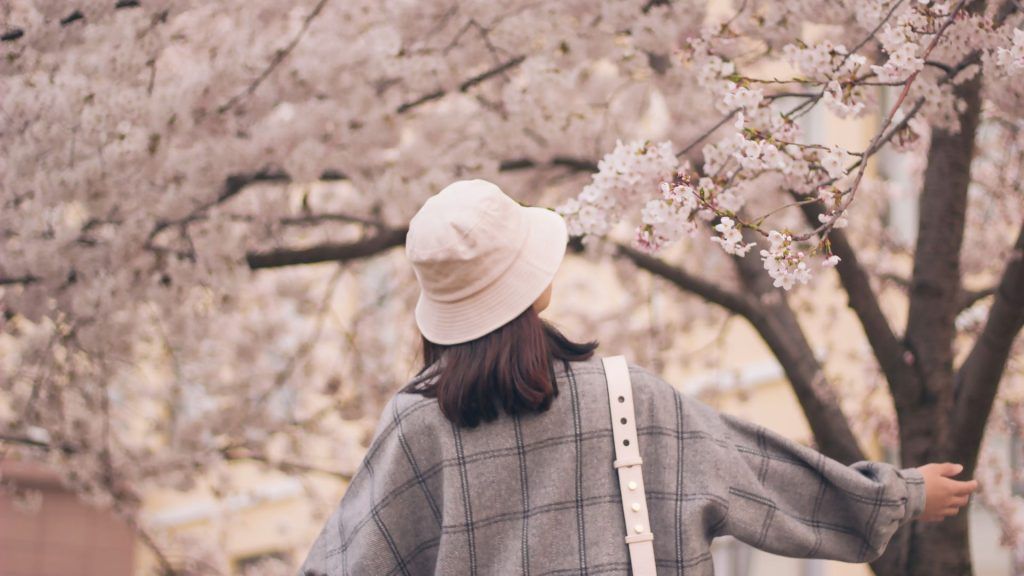 7 places around the world where you can still enjoy spring!
