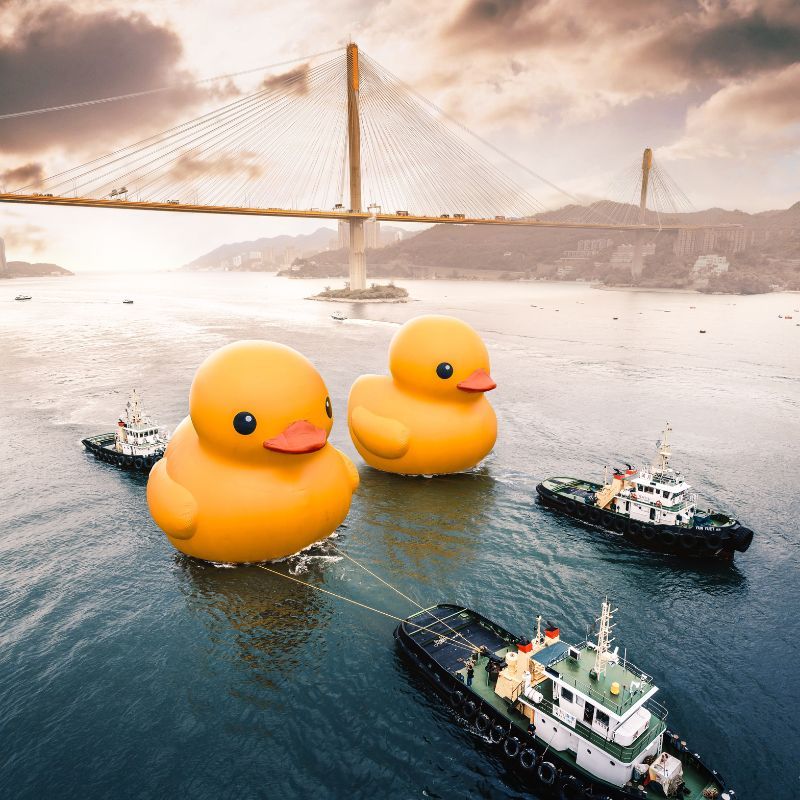 Hong Kong's giant rubber duck