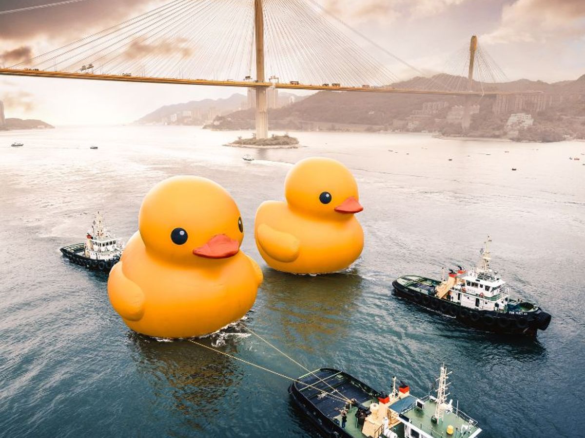 Giant Rubber Ducks are back in Hong Kong for their 10th anniversary