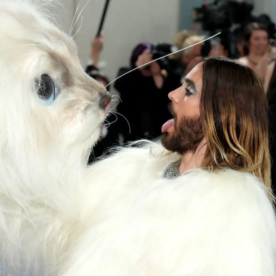 Met Gala 2023: A Breakdown