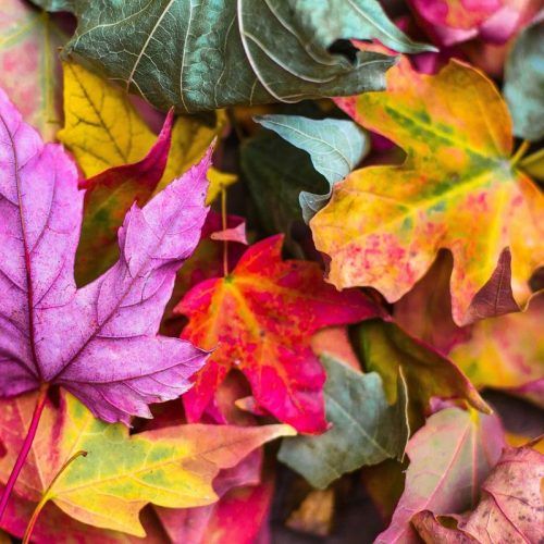 Be cautious of these unlucky colours for your Chinese zodiac sign