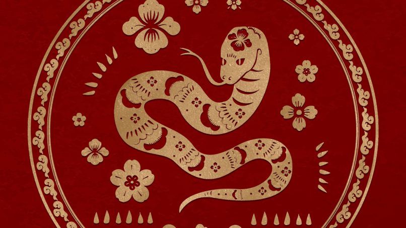 змея по китайскому зодиаку