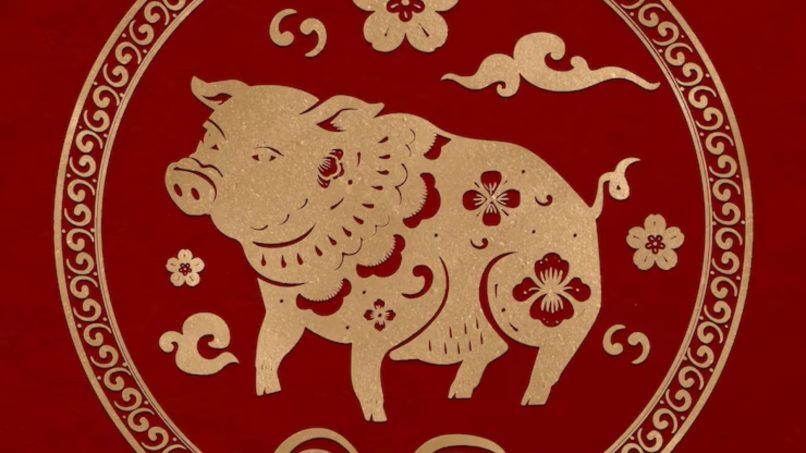 свинья по китайскому зодиаку