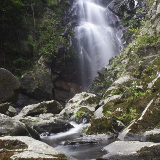 Бассейн невесты