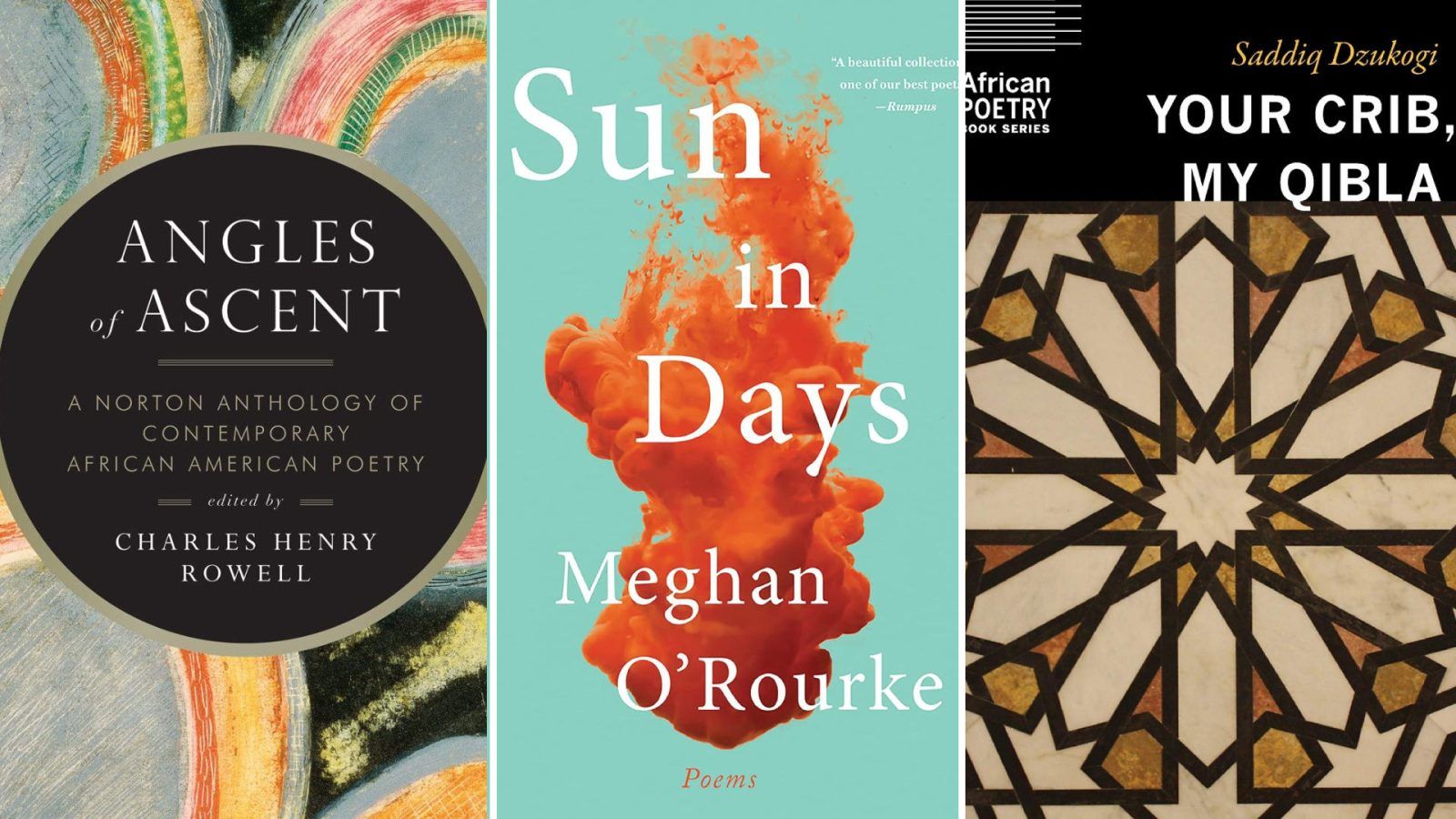 The best poetry books as chosen by poets