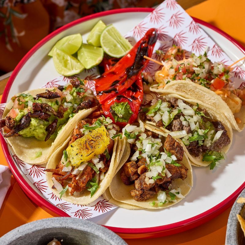 LSA Reviews: Salsa your way to taco and tamale pleasure at El Taquero