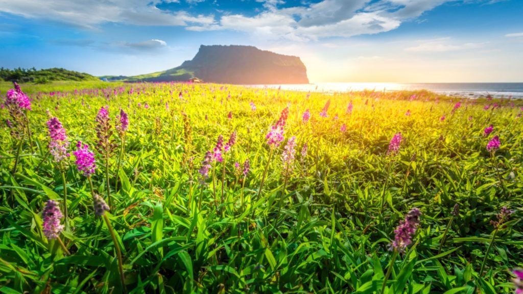 The most beautiful places to visit in South Korea
