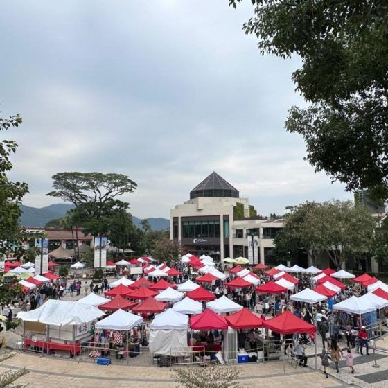 Christmas Wonderland @ Discovery Bay