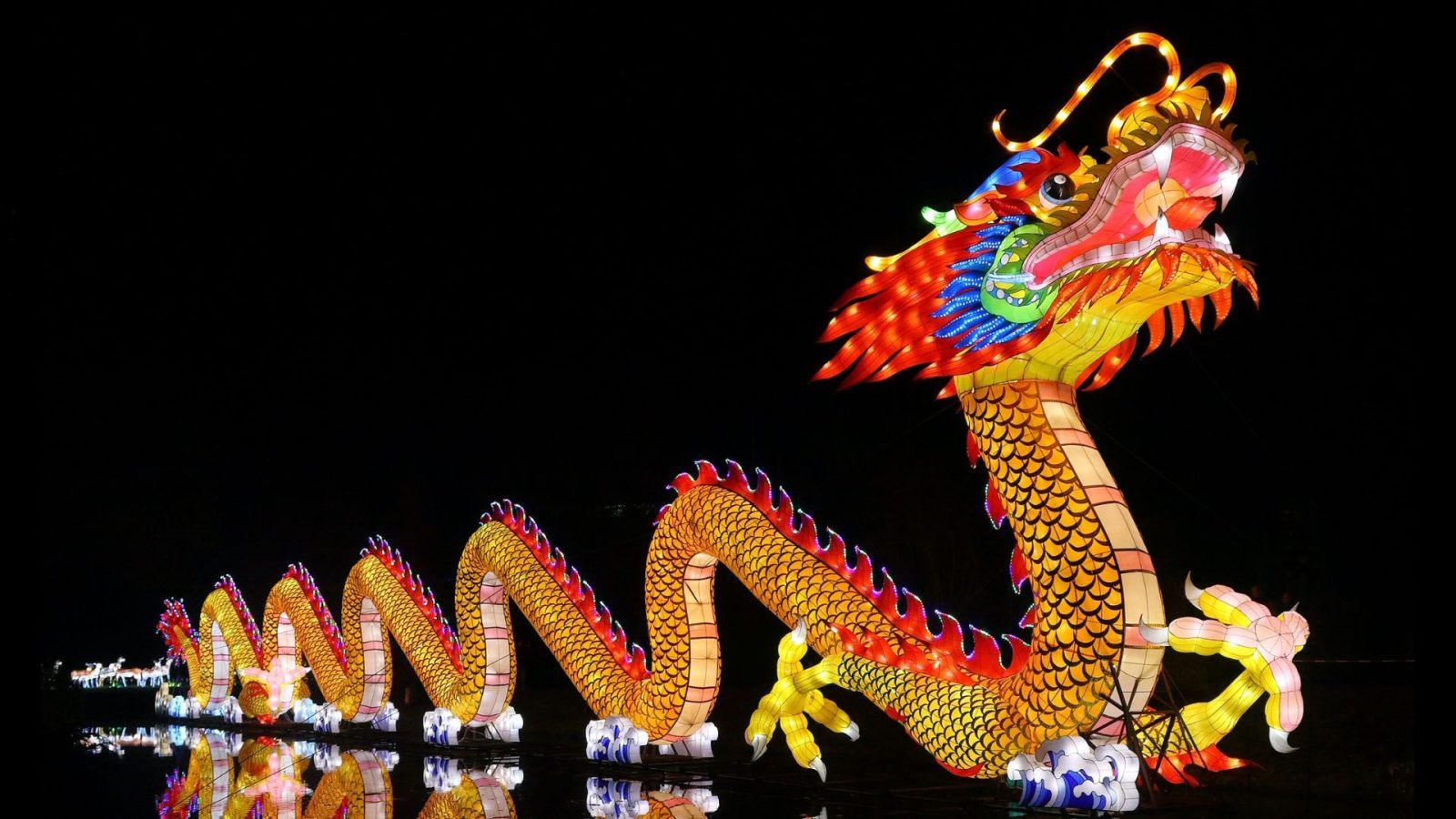 Everything to know about people born in the Year of the Wood Dragon