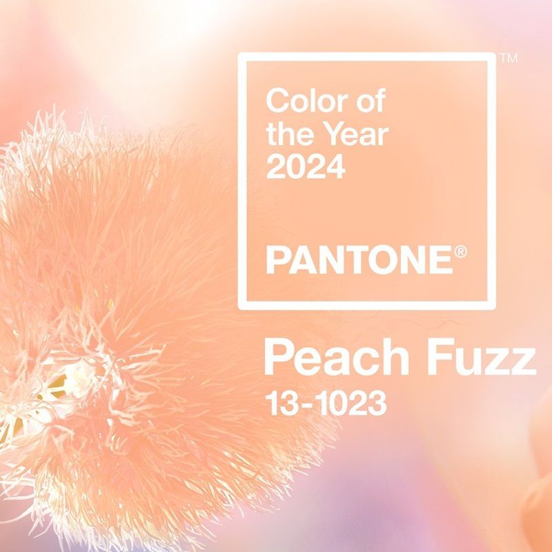 Pantone picks Peach Fuzz as the 2024 Color of the Year Ohara