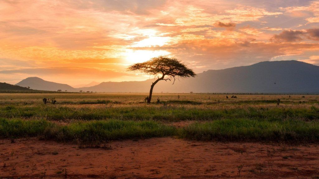 Travel revolution: Kenya opens its doors with visa-free entry for all