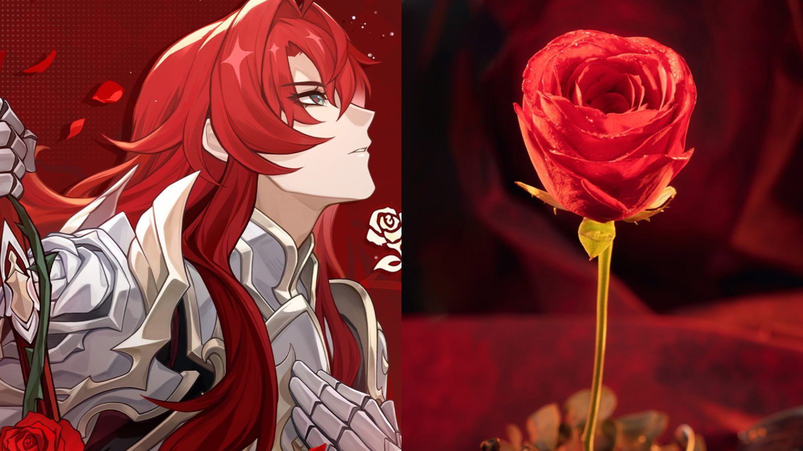 Anime, Rose's Turn