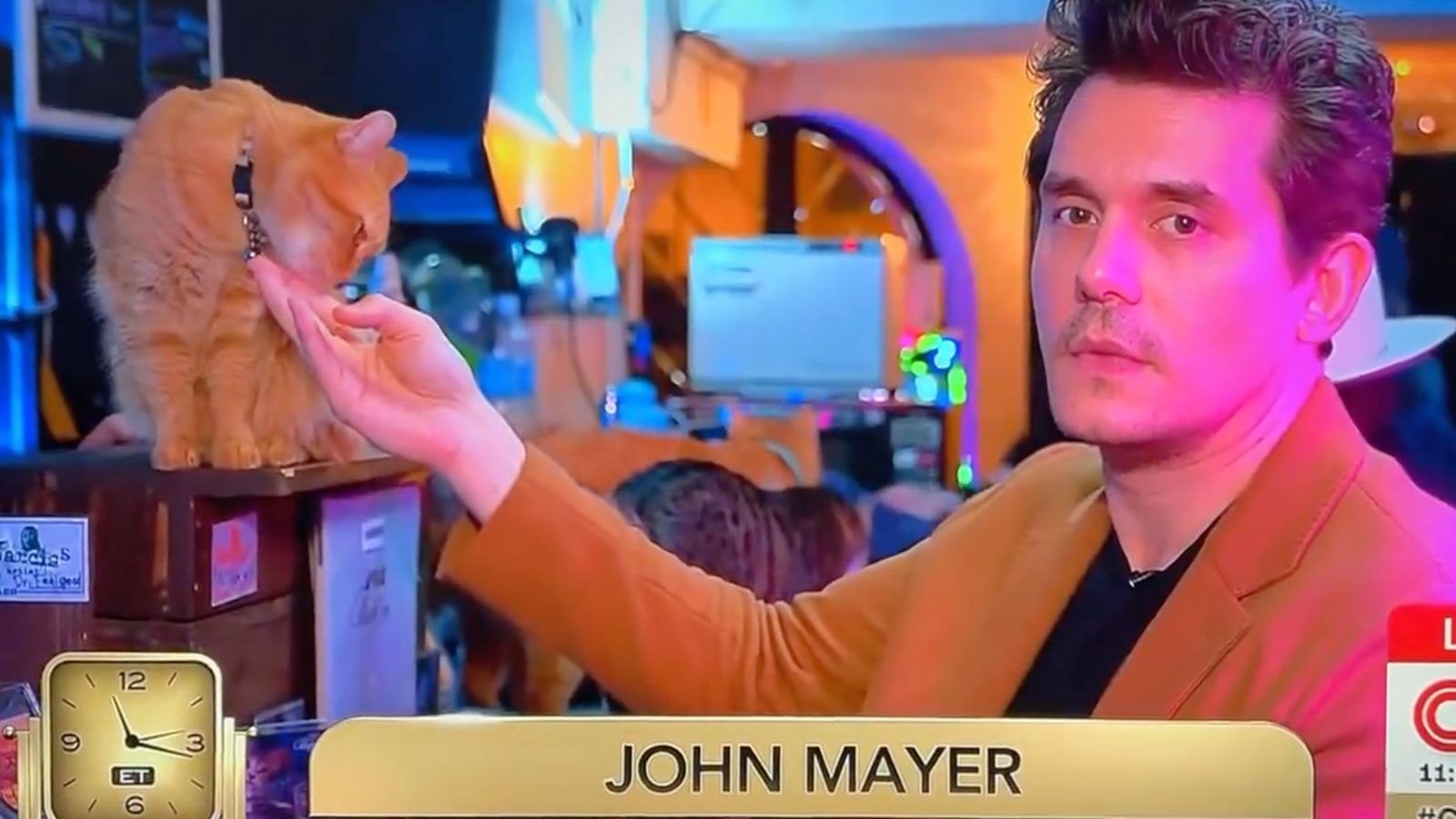 John Mayer Celebrates NYE from a cat cafe in Tokyo