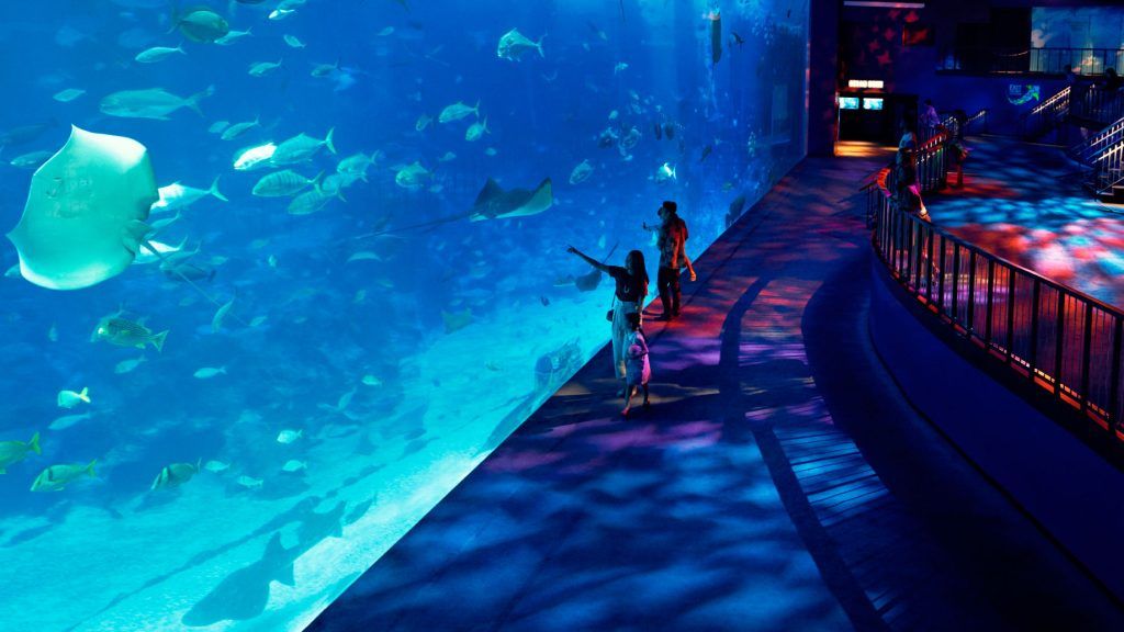 The best new and upcoming Singapore attractions to visit in 2024