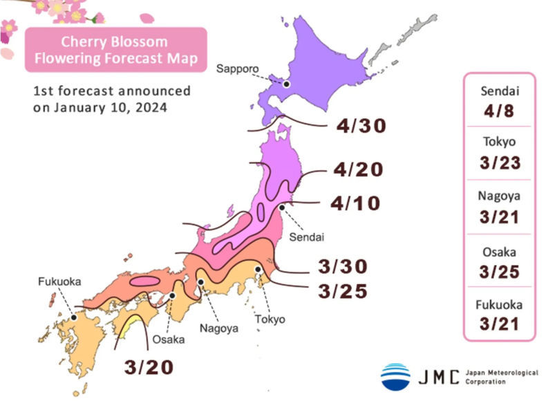 Карта цветения японской сакуры Н-Кисоу