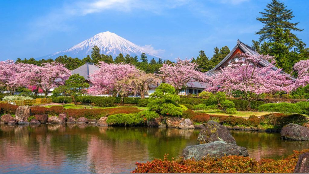 What to know about Japan’s Cherry Blossom Season and the 2024 Sakura Forecast