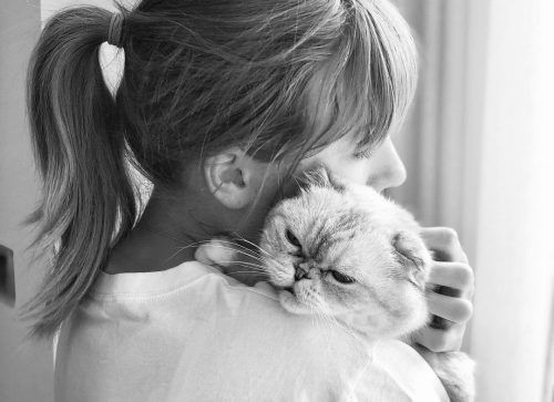 Taylor Swift’s cat Olivia Benson has a higher net worth than Travis Kelce