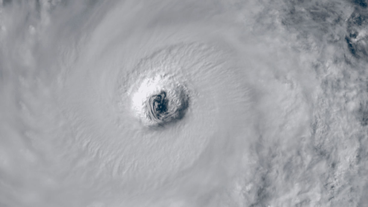 "Milktea" and "Dimsum" Tops List for Hong Kong Typhoon Names