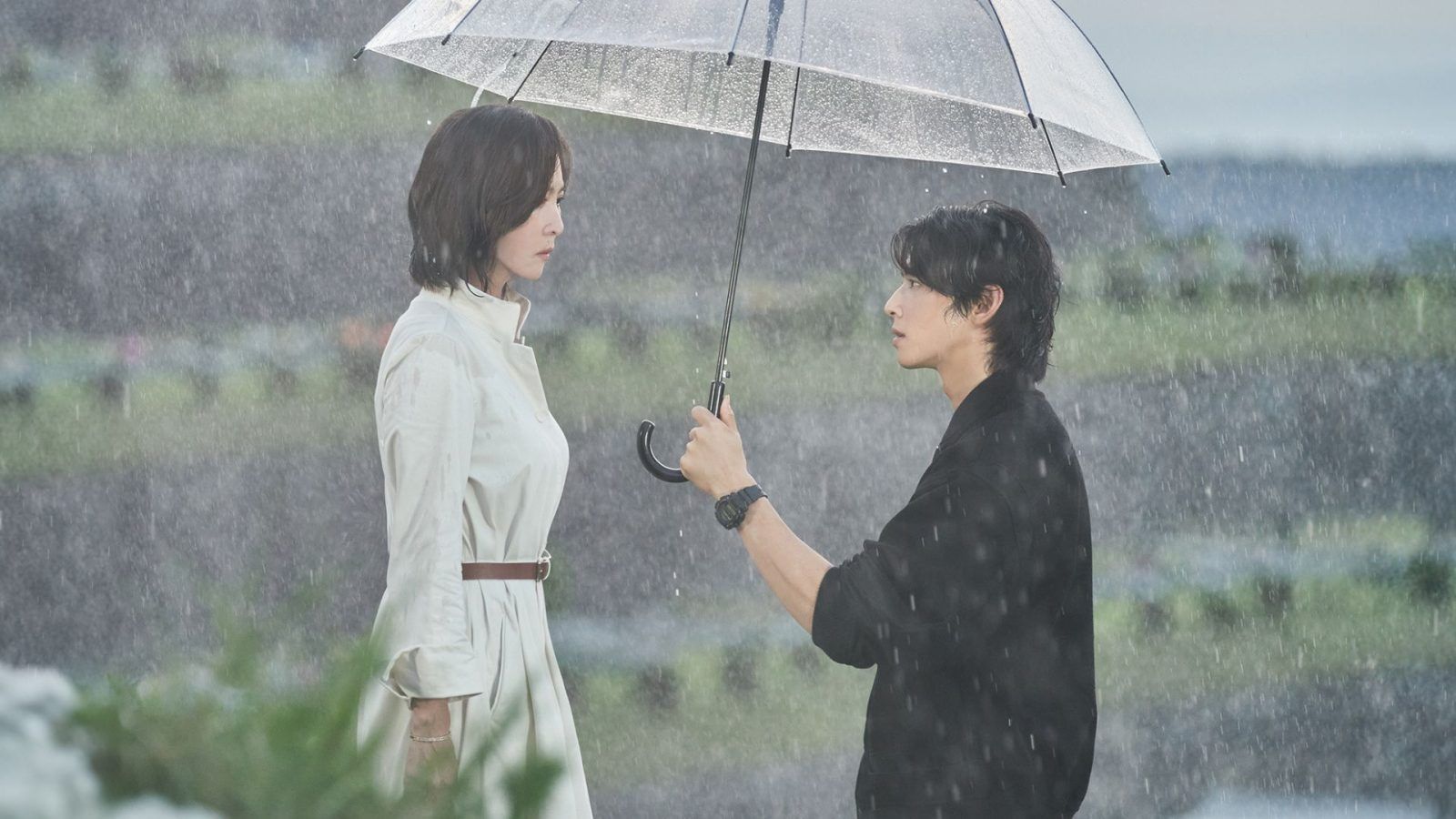 wonderful-world-cast-plot-and-other-details-about-the-k-drama