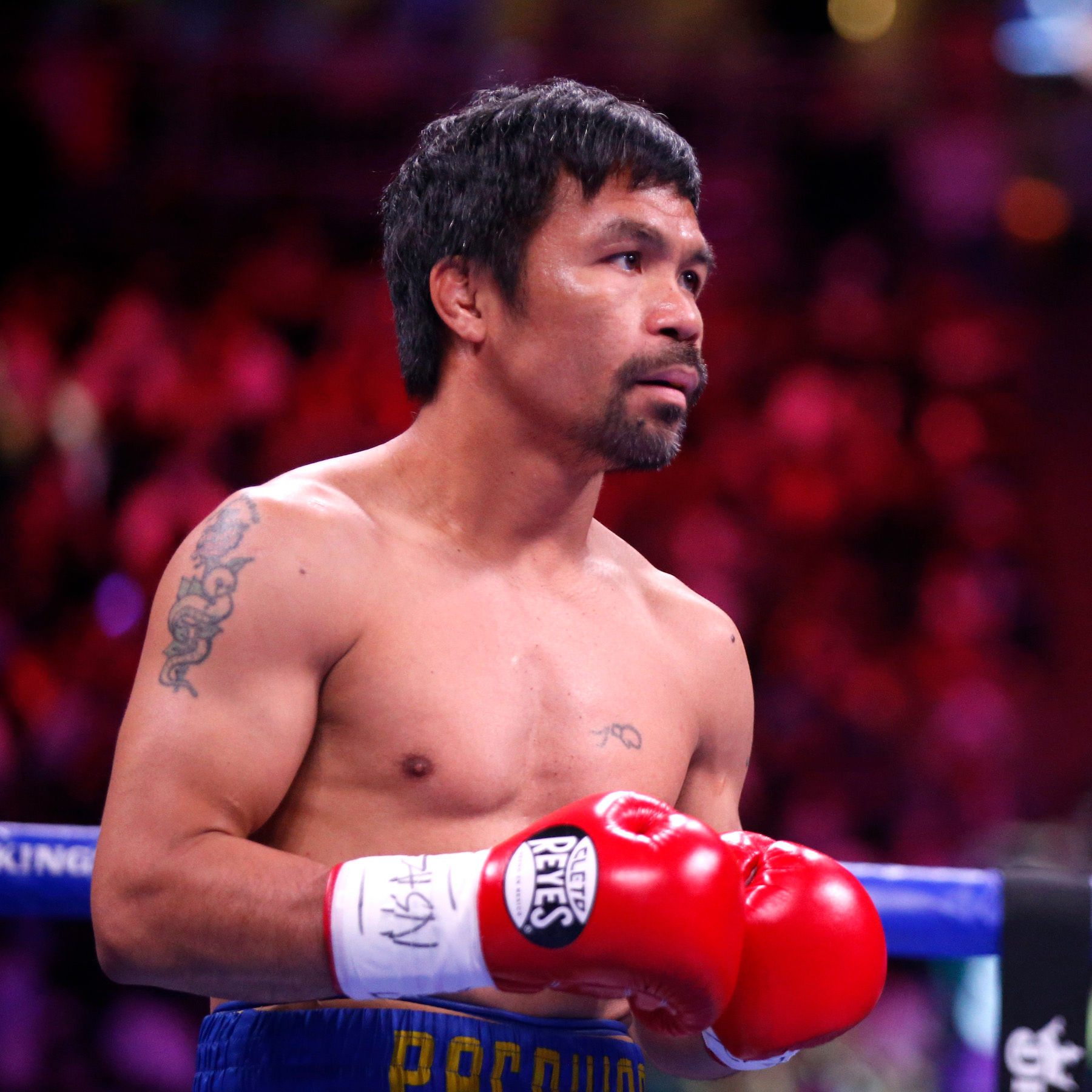 Мэнни пакьяо в нокауте. Мэнни пакьяо боксер. Manny boxing vr. Мэнни пакьяо. Мэнни пакьяо последний бой.