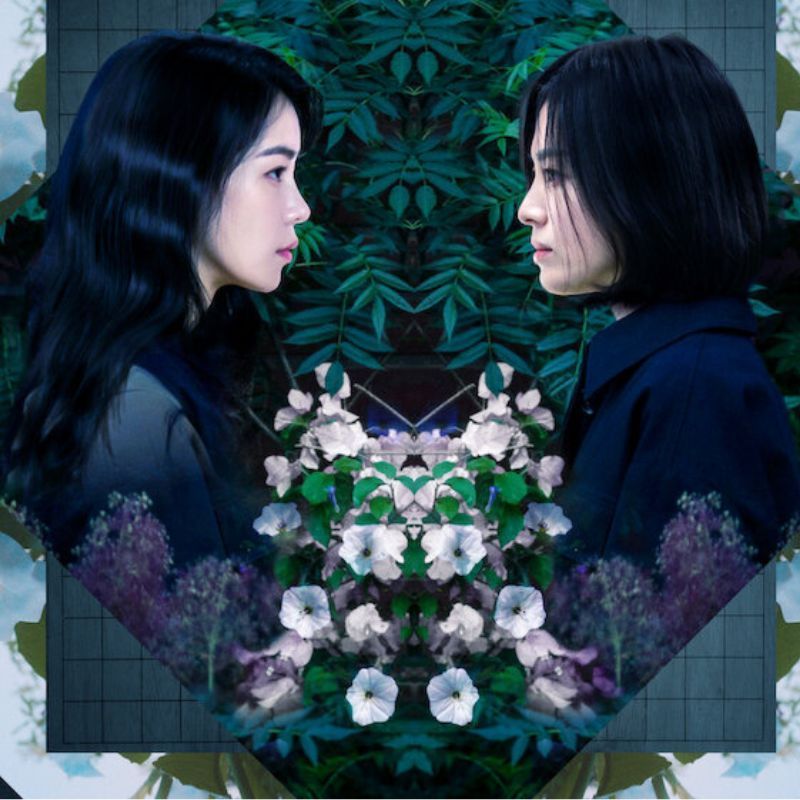 Best K-Dramas on Netflix
