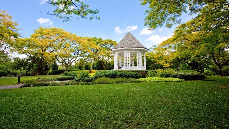 singapore botanic gardens free things to do