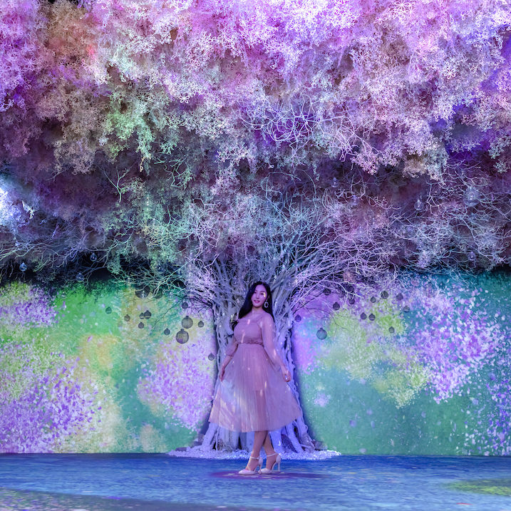 Japan’s Naked Flowers interactive art exhibition is blooming in Hong Kong this April