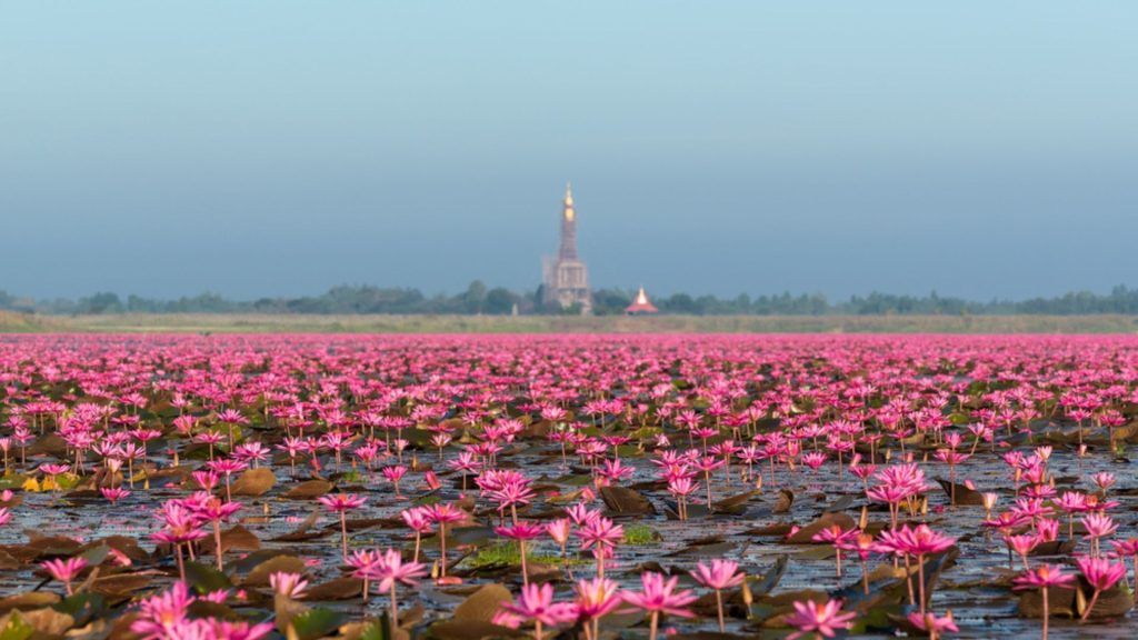 The 8 most budget-friendly destinations to visit in Asia this year