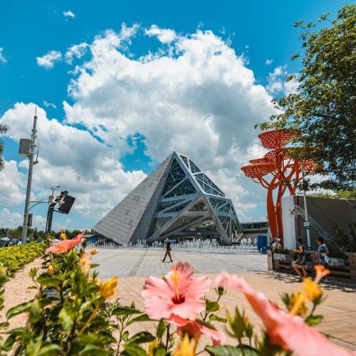 Futuristic malls to bathhouses: 10 things you cannot miss on your next trip to Shenzhen