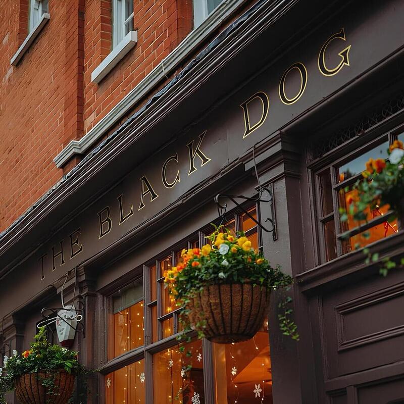 Swifties flock to The Black Dog, a London pub named in ‘The Tortured Poets Department’
