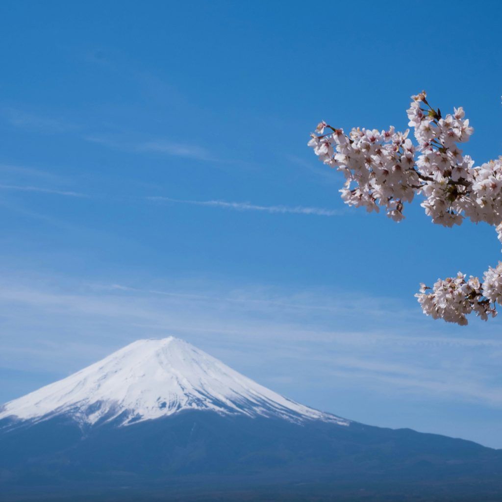 Town set to block views of “Mt Fuji Lawson” due to poor etiquette from tourists