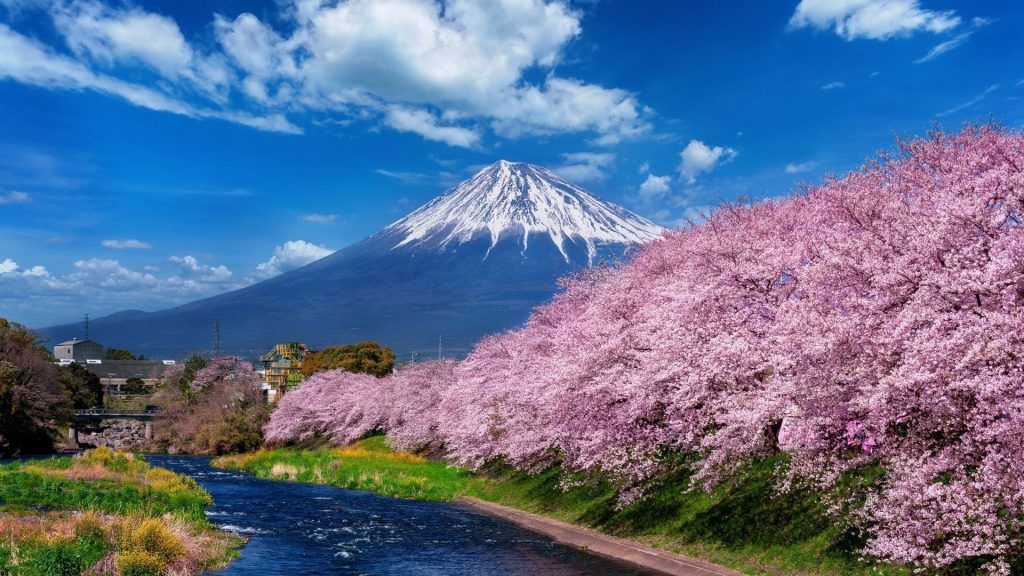 Tokyo Itinerary: A first-timer’s guide to exploring the Japanese capital
