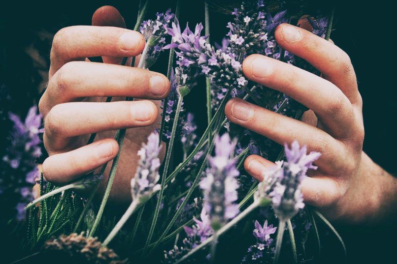 natural ingredients microbiome health