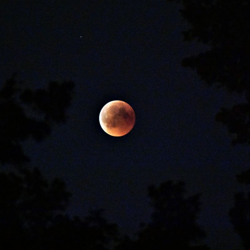 Flower Moon in Sagittarius: May full moon offers zodiacs opportunities for introspection