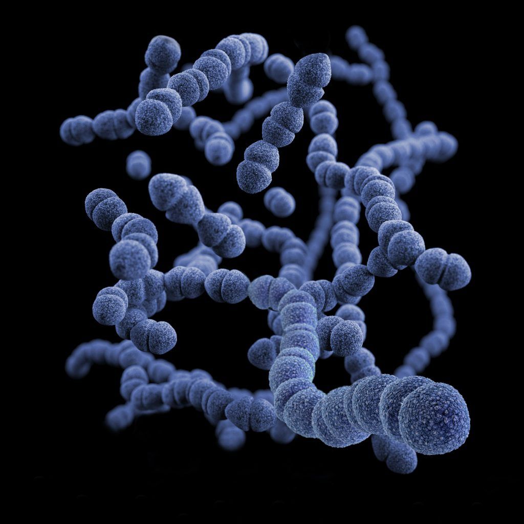 Japan sees close to 1,000 “flesh-eating” Streptococcal bacteria cases