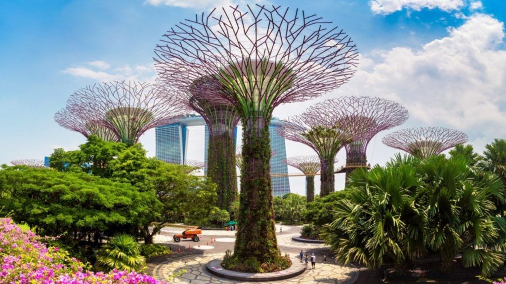 Most photographed! Singapore’s Gardens By The Bay crowned Instagram’s favourite