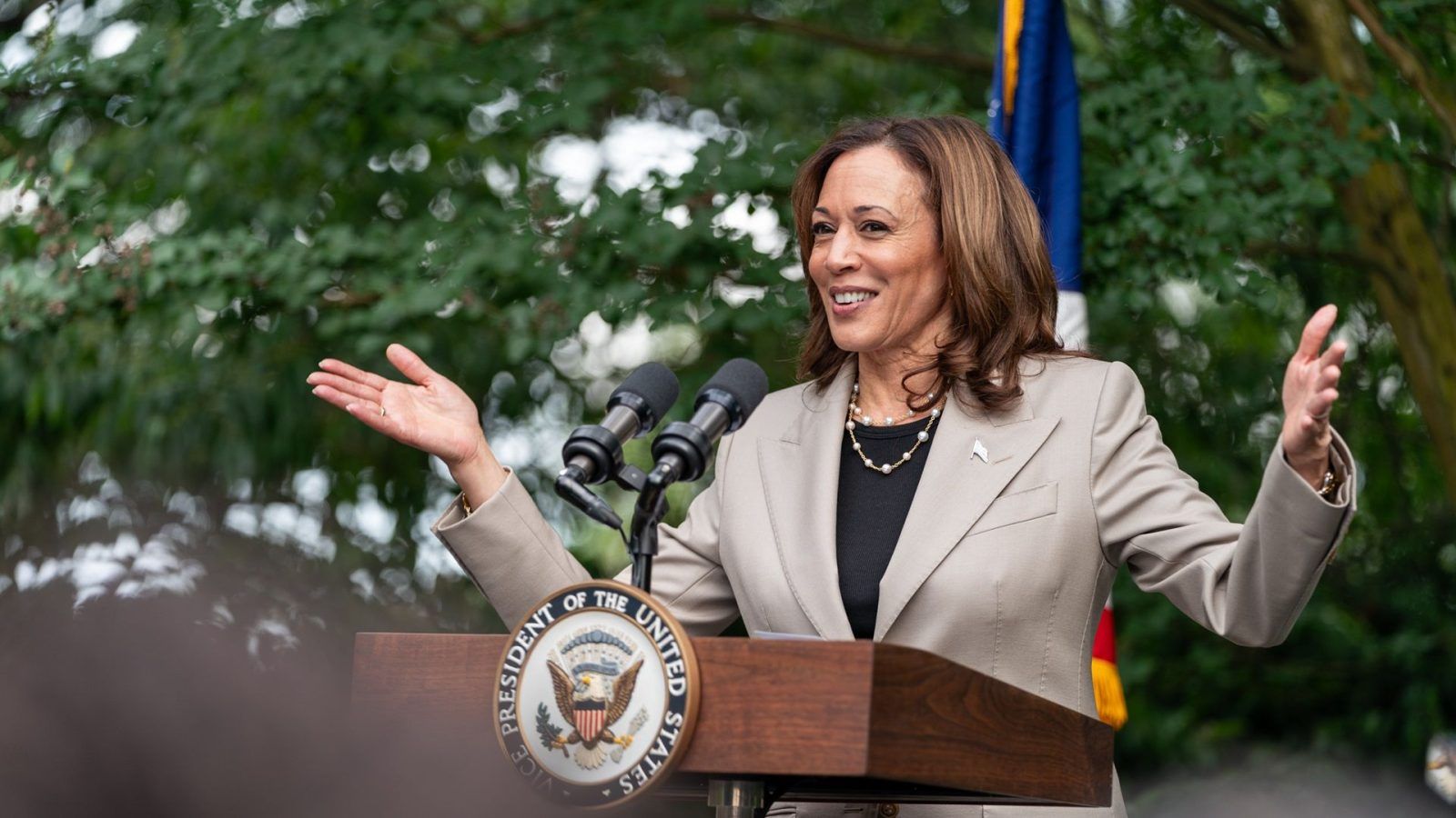 Kamala Harris net worth: How rich is the potential future US president?