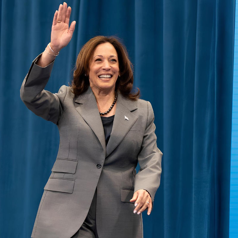 Kamala Harris is a pop icon, here’s proof: Brat summer to coconut memes