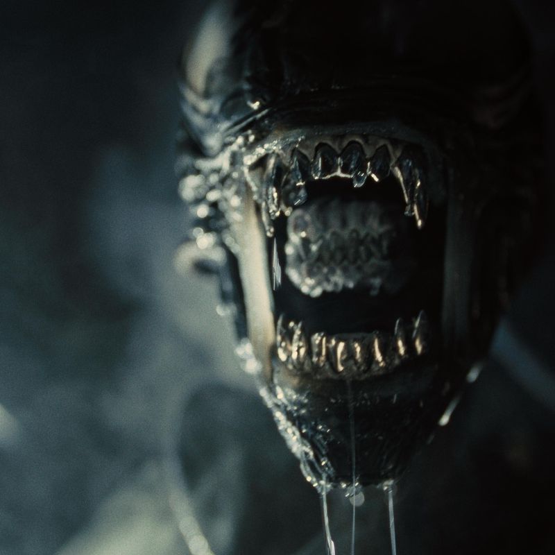 ‘Alien: Romulus’ ending explained: Unpacking that terrifying final twist, other mysteries
