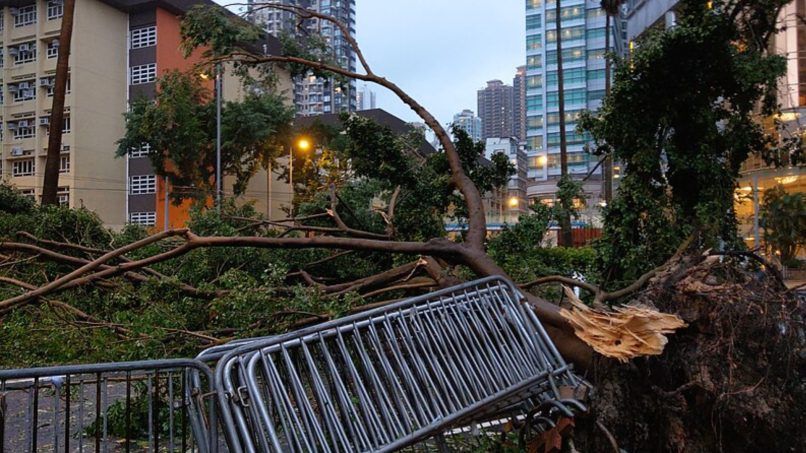 hong kong typhoon safety tips