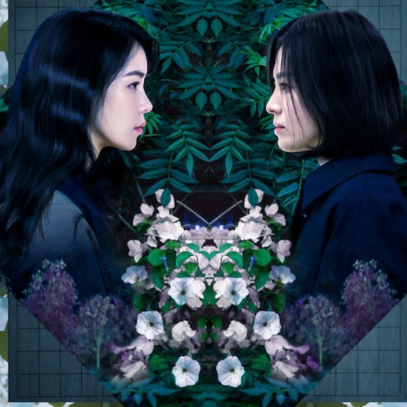 K-dramas like ‘The Frog’ to watch if you are a fan of Korean thrillers