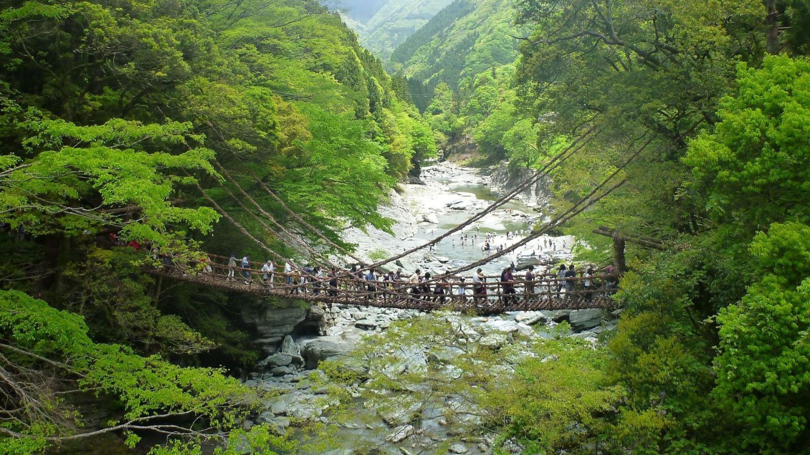 Greater Bay Airlines will launch flights from Hong Kong to Tokushima and Sendai in Japan